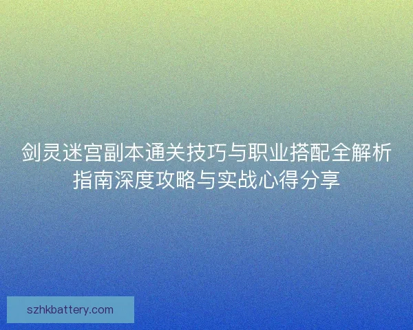 剑灵迷宫副本通关技巧与职业搭配全解析指南深度攻略与实战心得分享