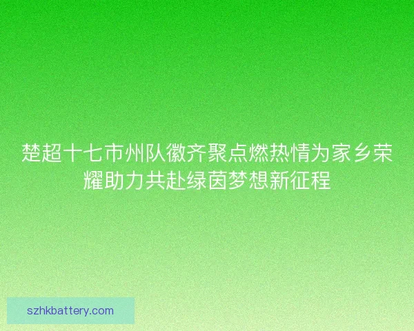 楚超十七市州队徽齐聚点燃热情为家乡荣耀助力共赴绿茵梦想新征程